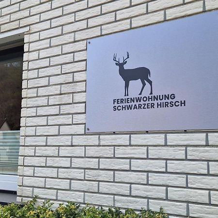 Ferienwohnung Schwarzer Hirsch Wieda Exteriér fotografie