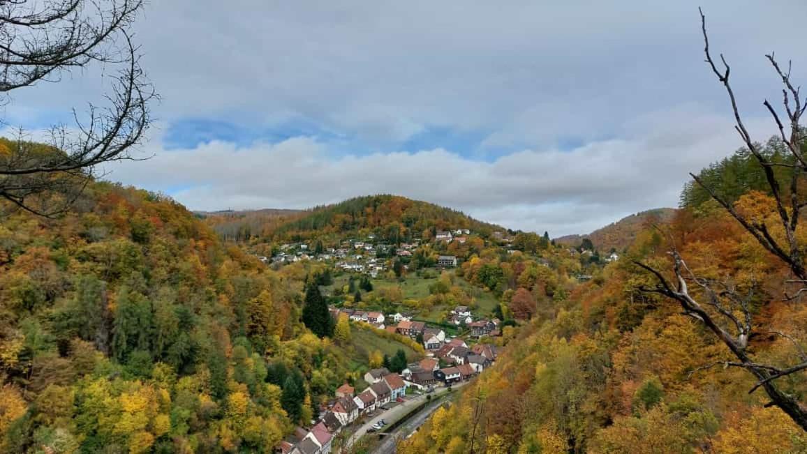 Ferienwohnung Schwarzer Hirsch Wieda Exteriér fotografie